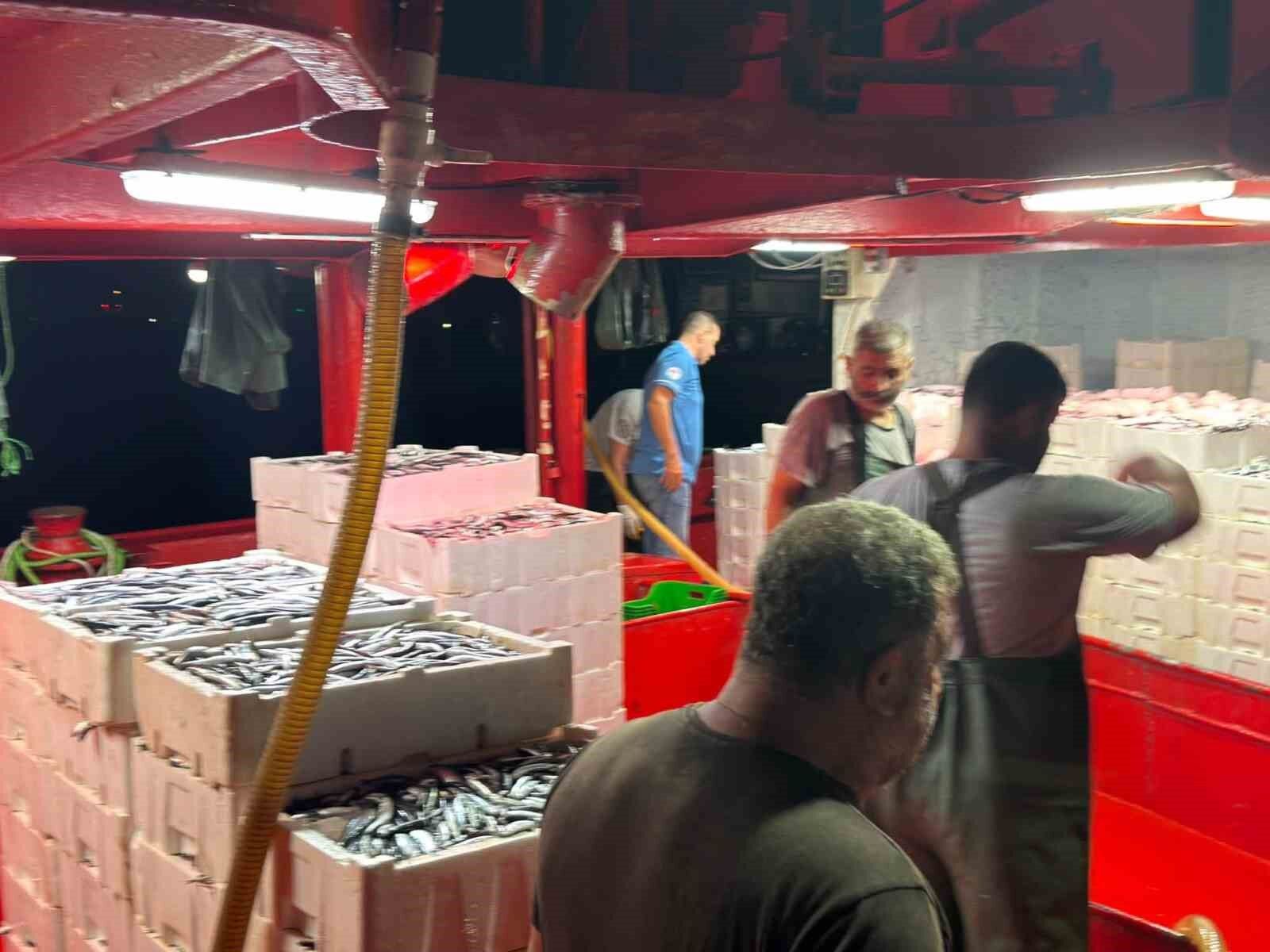 Hamsi Avinda Kota Donemi Basladi Denetimler Suruyor 1789030557439 859151