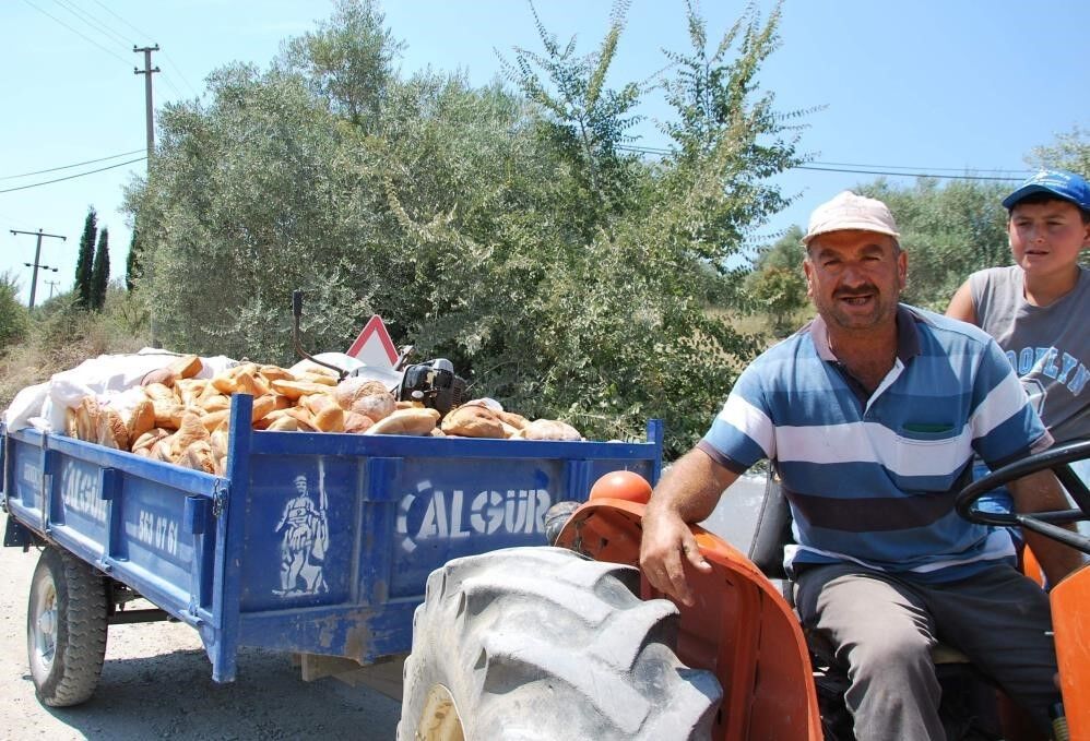 I Nsanlar Ac Kalmasin Diye Uretiliyor Hayvan Yemi Olarak Satiliyor 1790157903427 727833