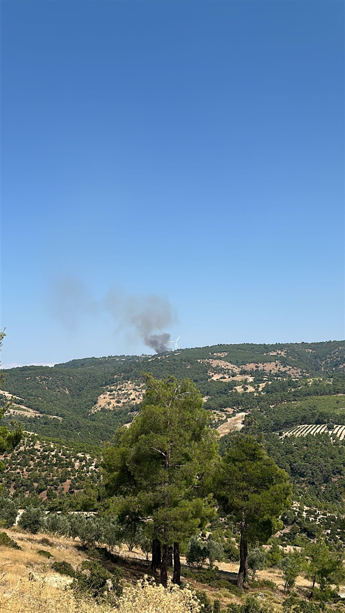 K 690222 543Df4