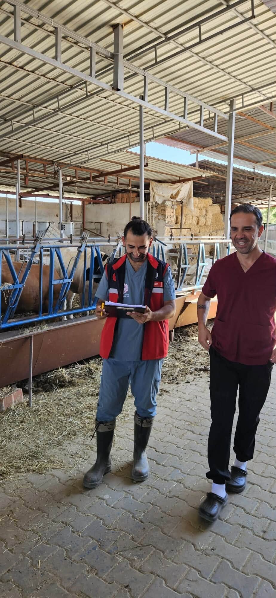 Kupesi Dusen Hayvanlar Tespit Ediliyor Nazillide Ekipler Sah 689715 Fd9Abd