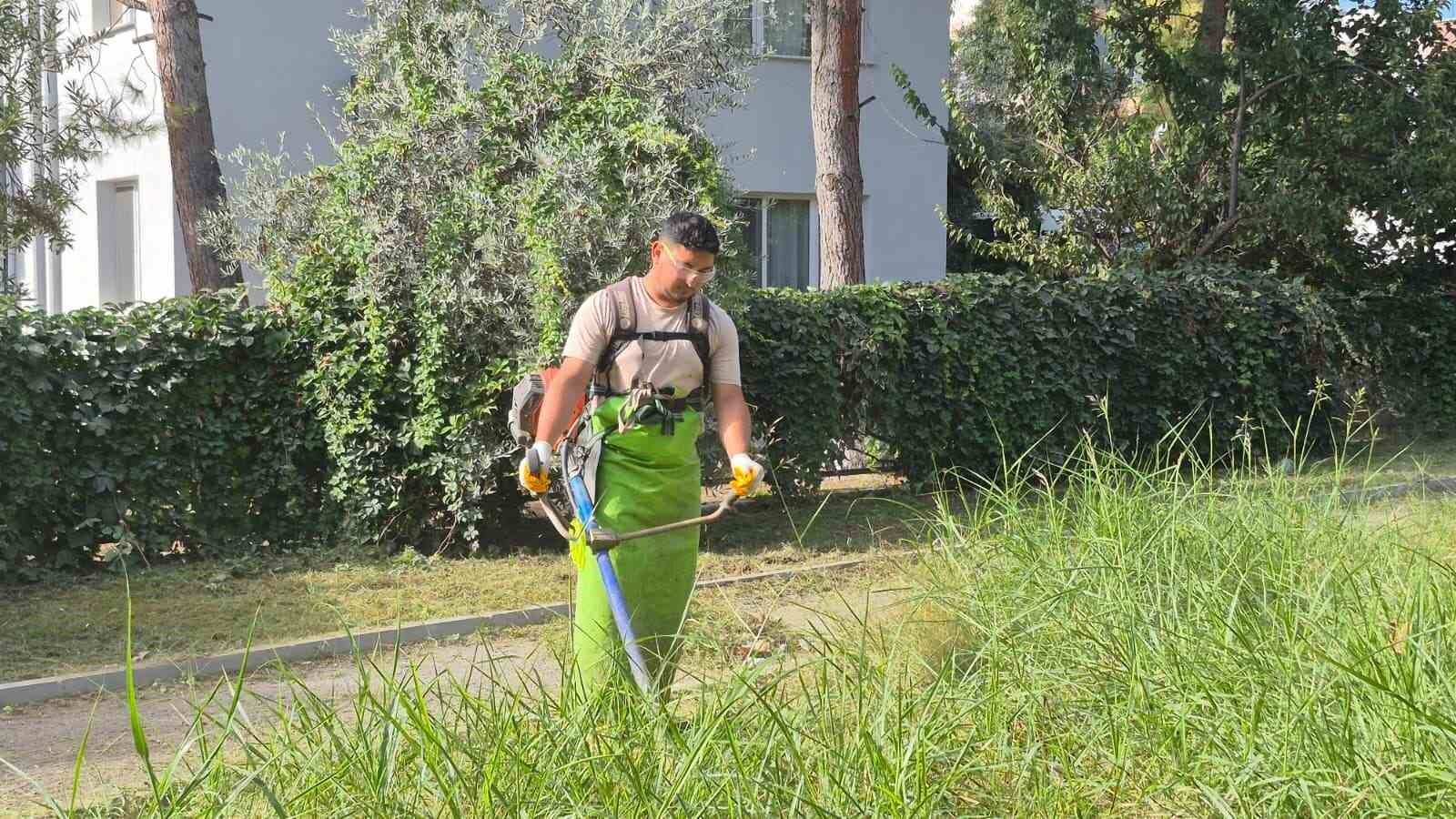 Kusadasi Nda Yesil Alanlar Bakima Alindi 1789541100775 94870