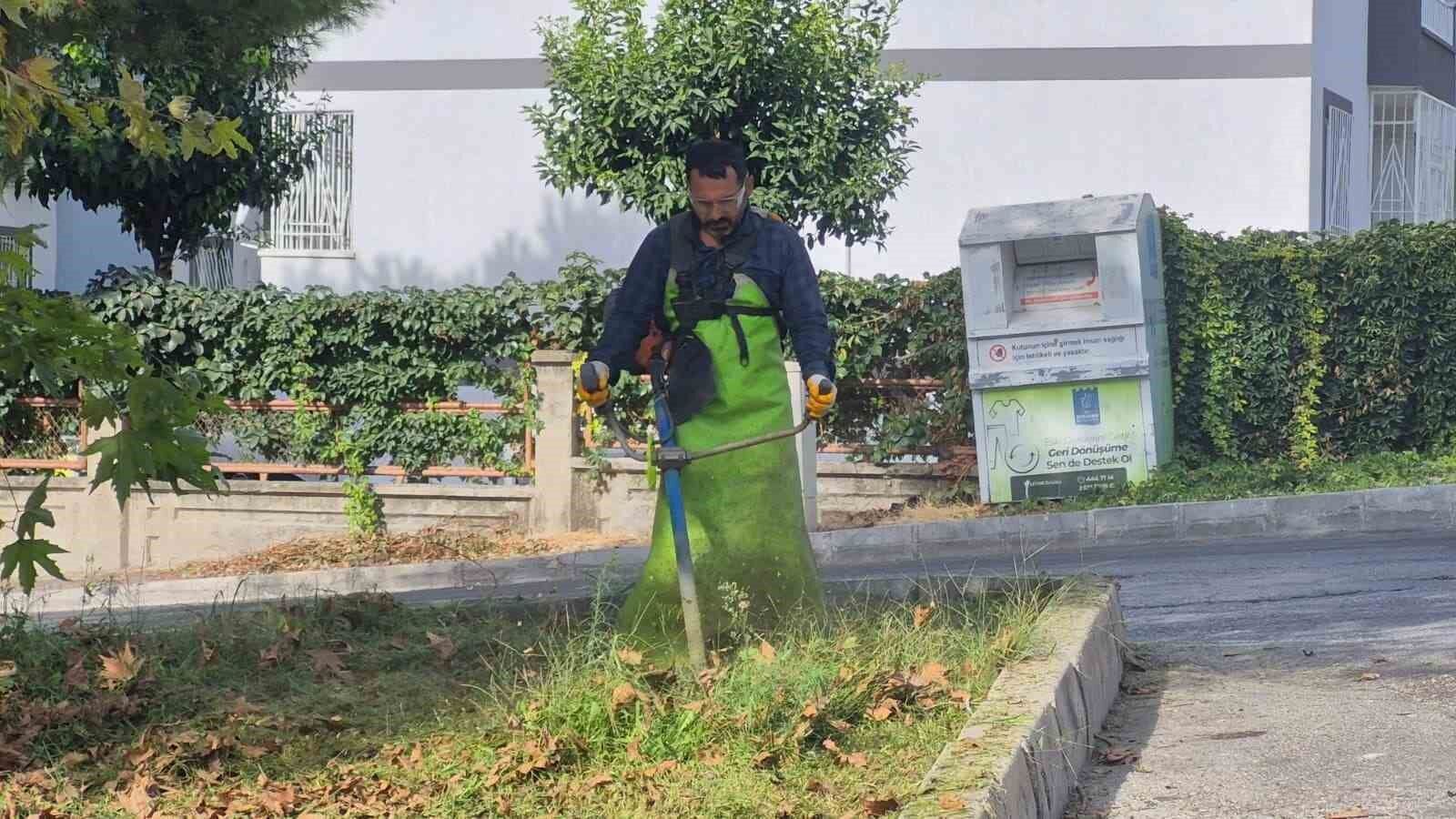 Kusadasi Nda Yesil Alanlar Bakima Alindi 1789541106288 973768