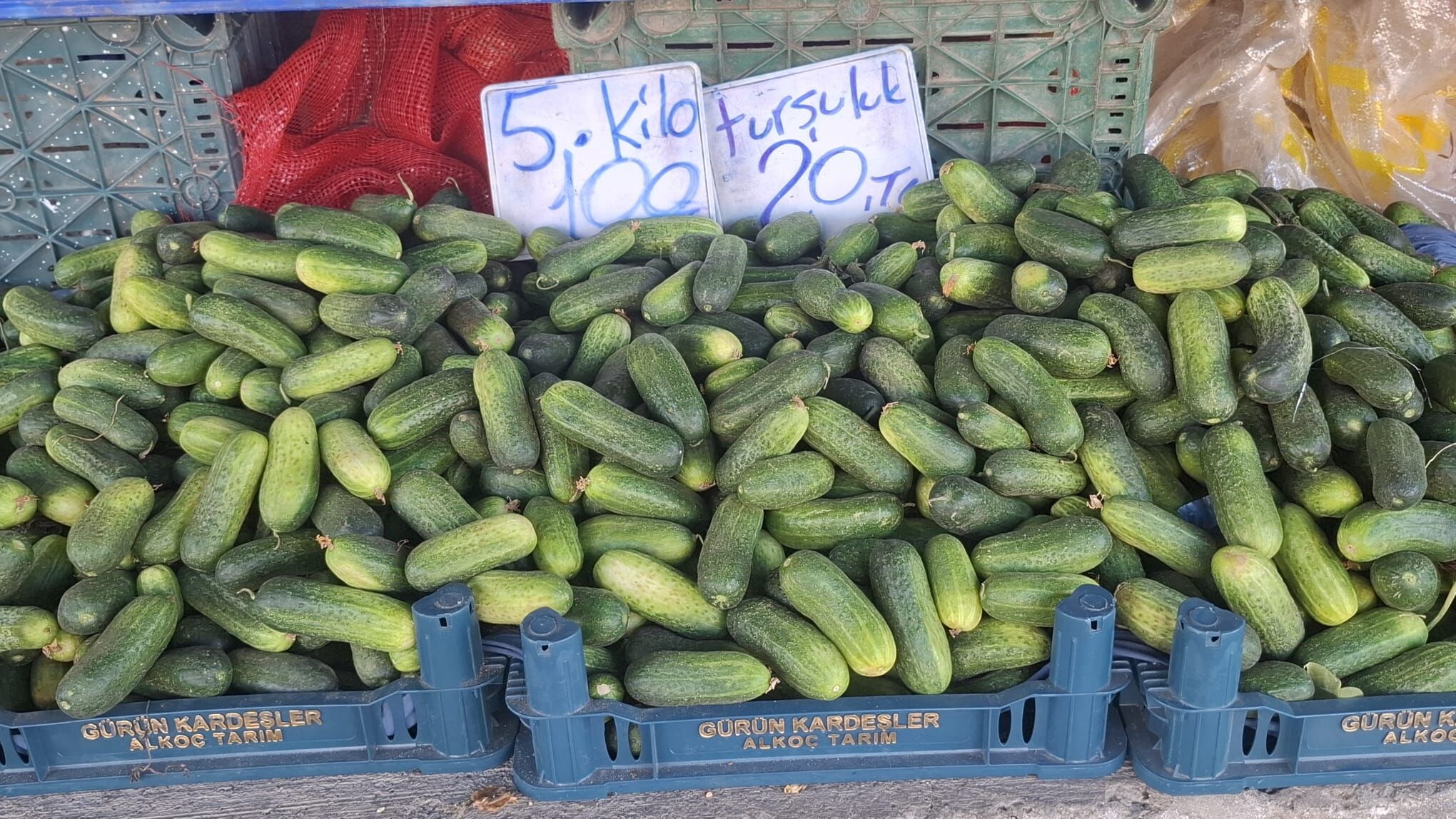 Kusadasi Semt Pazarlarinda Kislik Erzak Mesaisi Basladi 693471 Ec7096