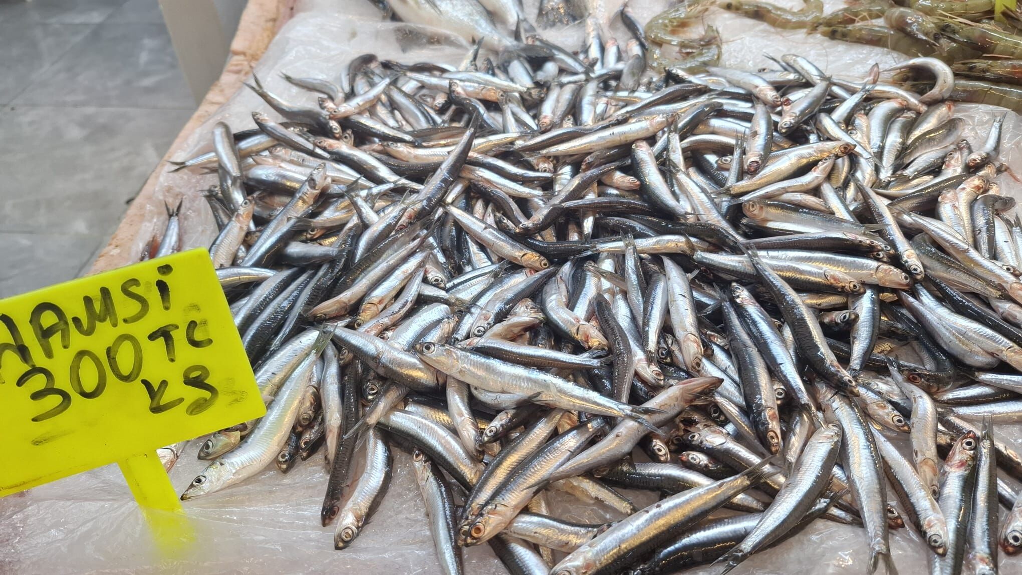 Kusadasinda Tezgahlarda Balik Senligi Basladi 689439 4B71Ab