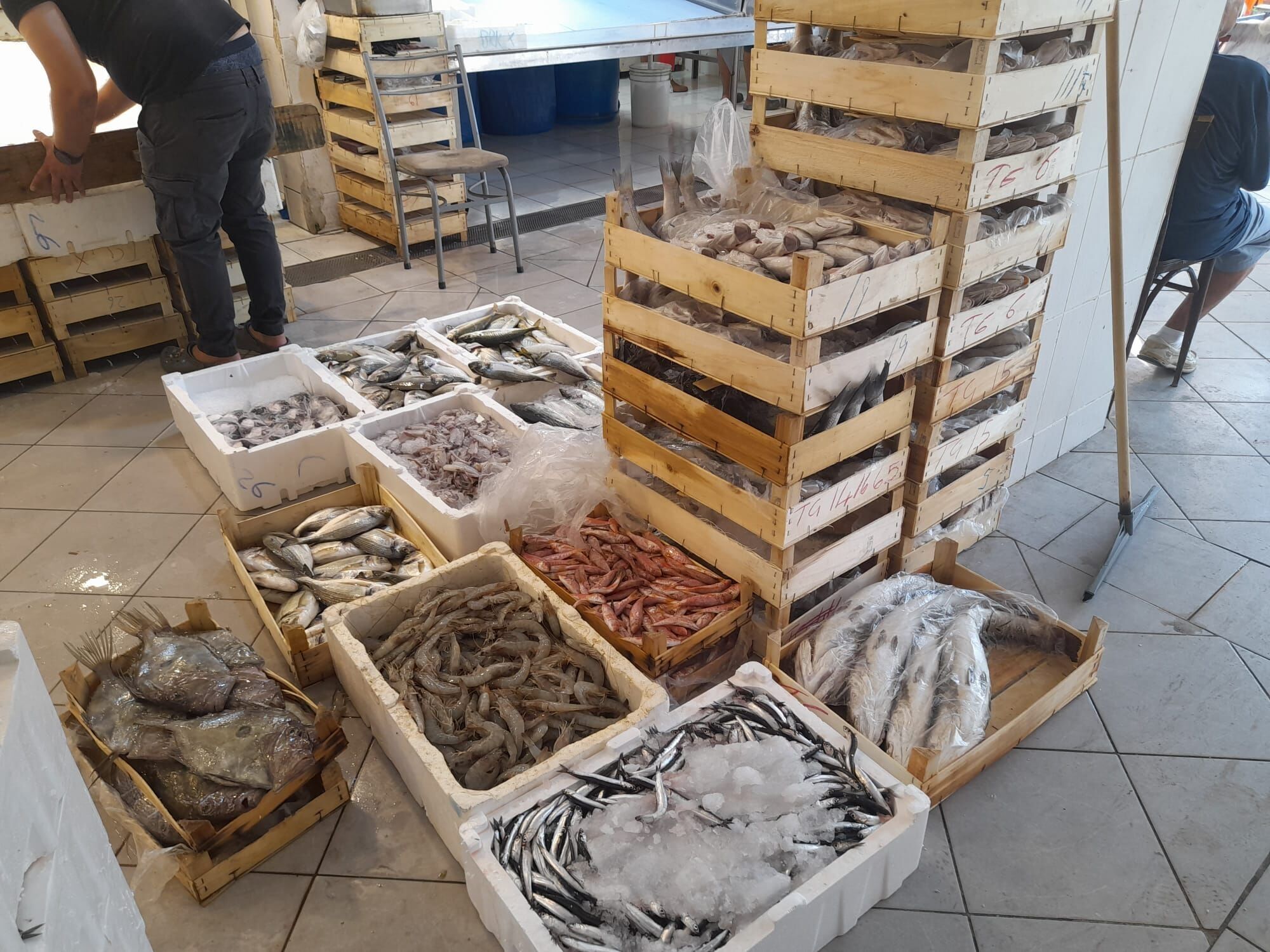 Kusadasinda Tezgahlarda Balik Senligi Basladi 689439 7Dd647