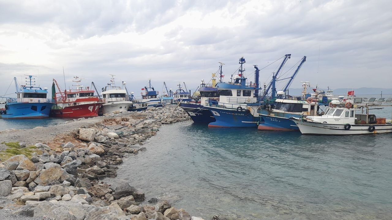 Kusadasinda Tezgahlarda Balik Senligi Basladi 689439 B92F67