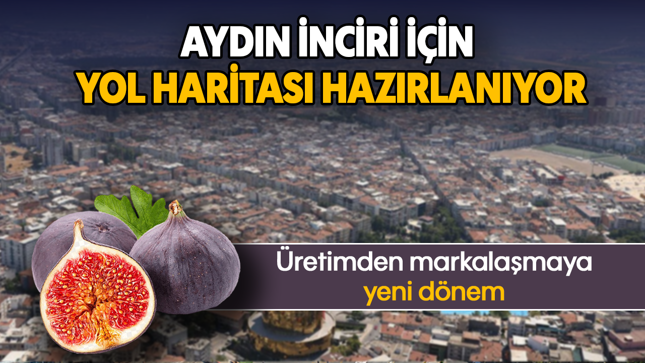 Aydın inciri için yol haritası hazırlanıyor: Üretimden markalaşmaya yeni dönem