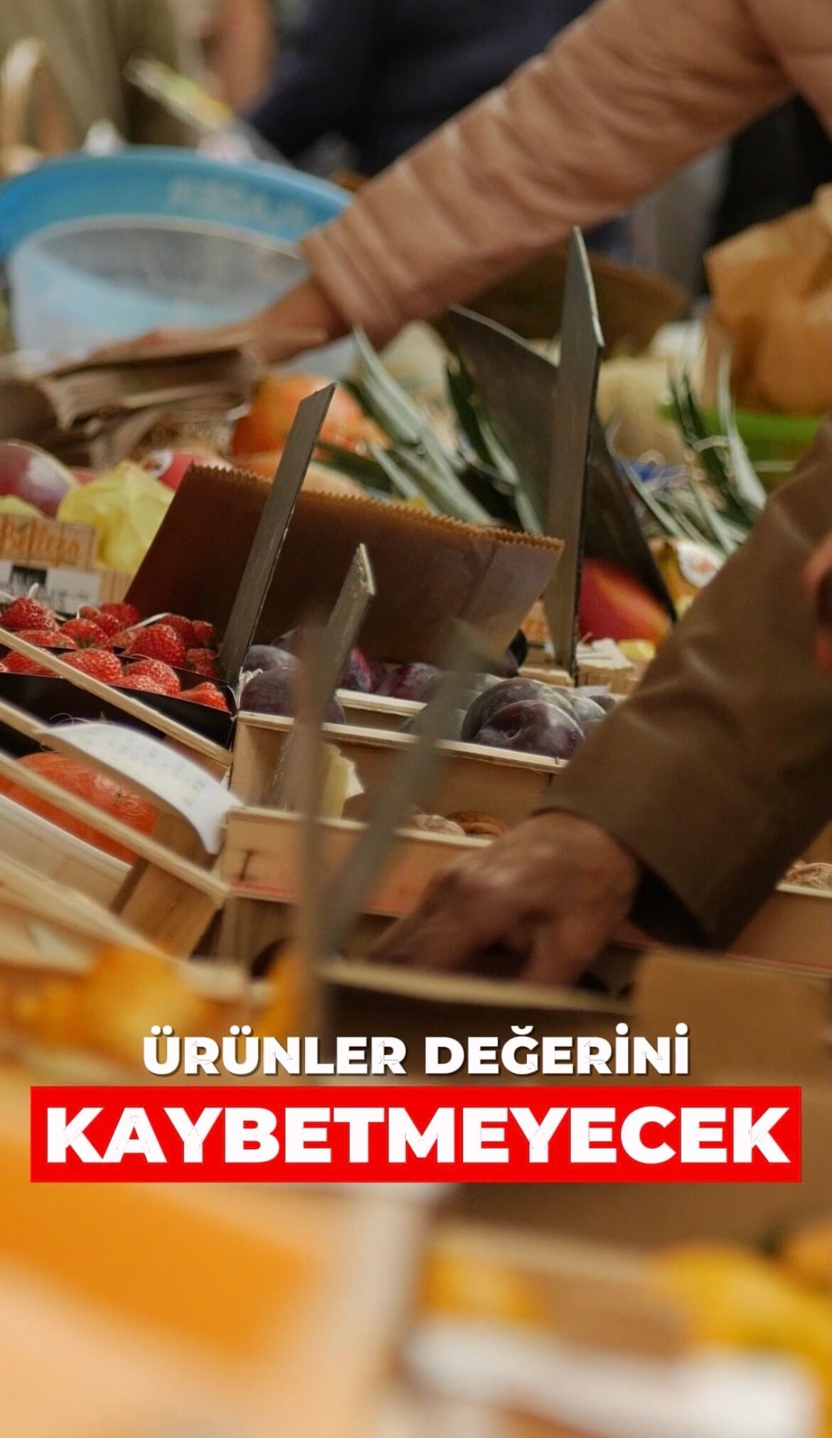 Nto Baskan Adayi Ozen Akgunden Soguk Hava Deposu Mujdesi 692612 838534