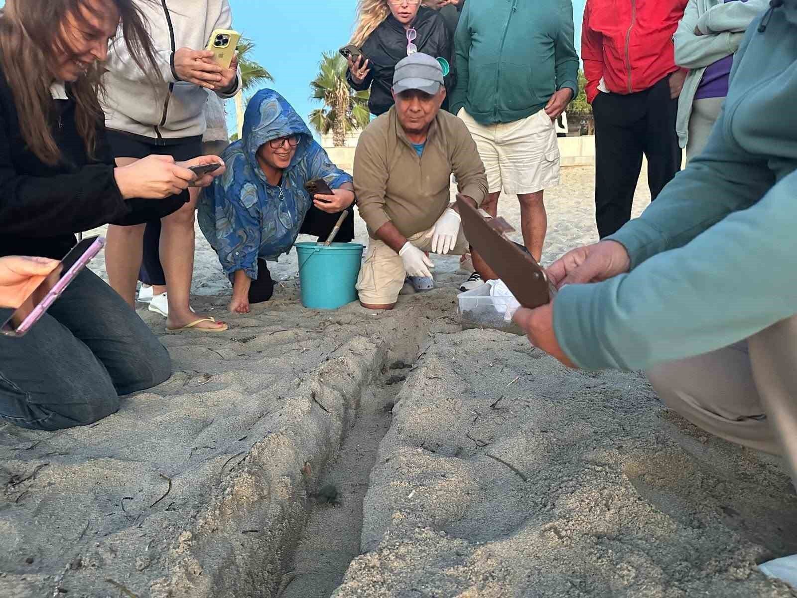 Surpriz Yuvadan 67 Caretta Caretta Yavrusu Cikti 1790426404384 269508