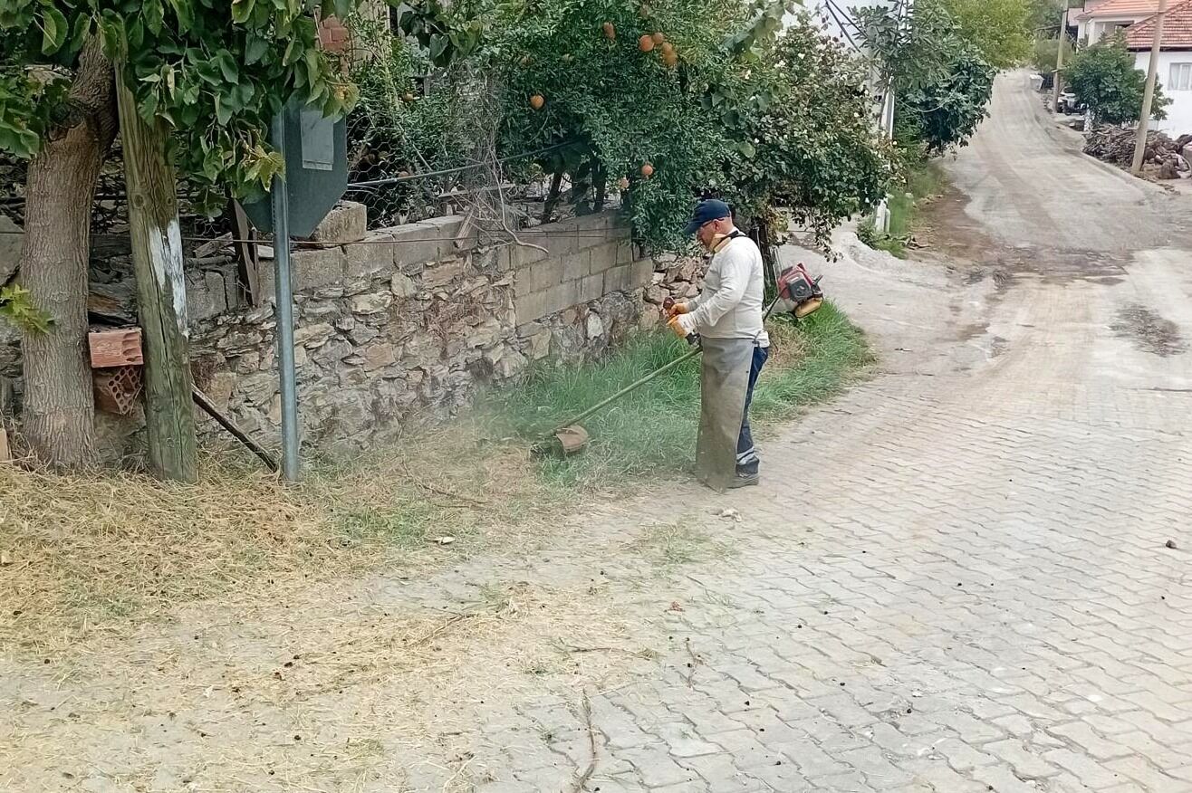 Whatsapp Image 2026 09 18 At 09.41.30