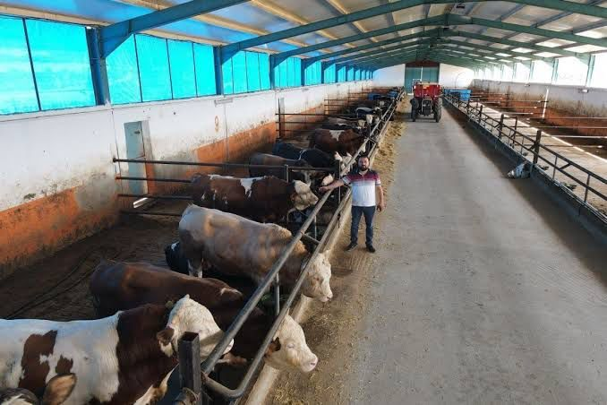 Aydın'a 9 milyon avroluk dev yatırım! Üretim başladı