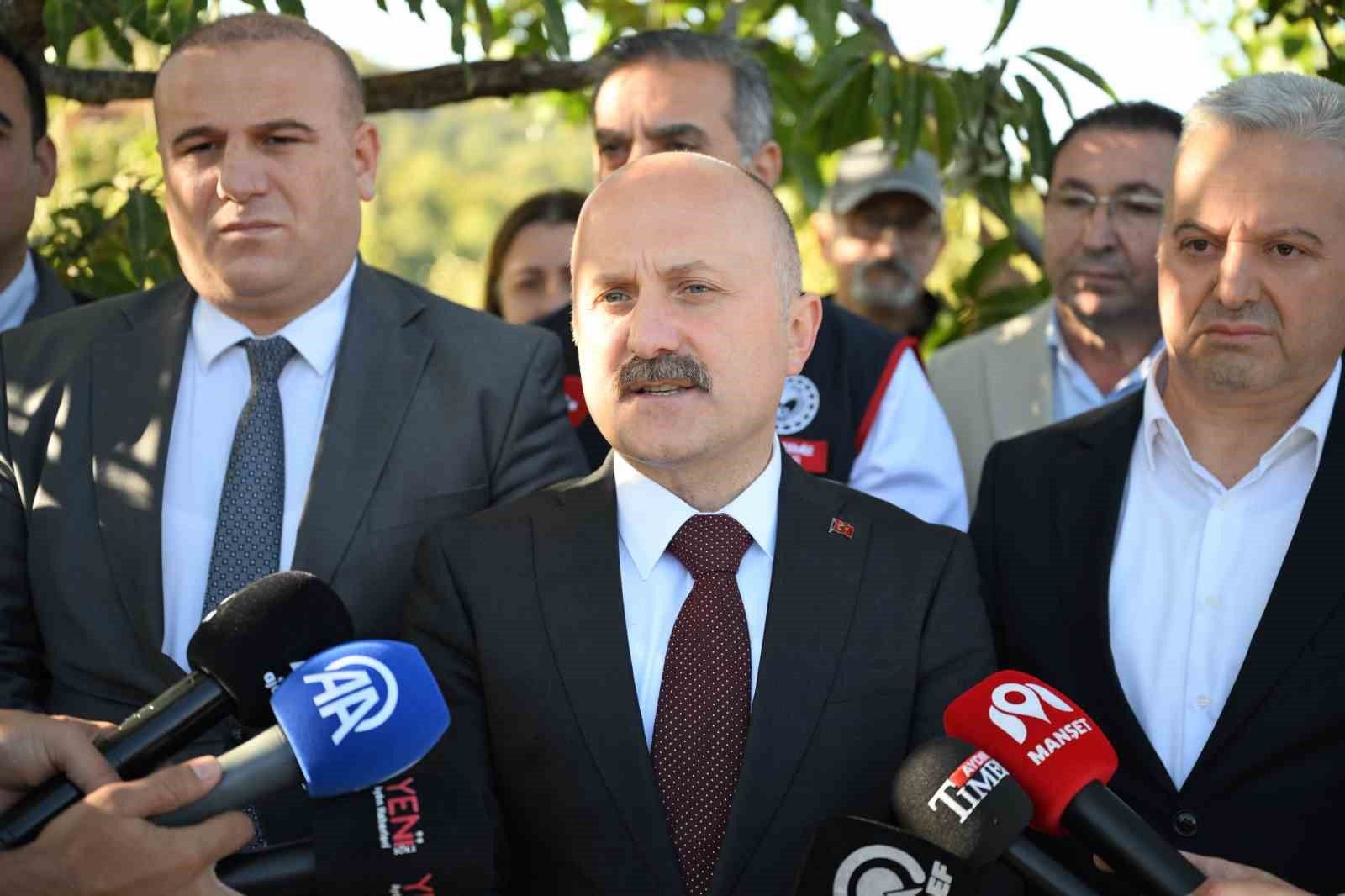 Aydin Da 5 Bin 629 Kestane Ureticisi Hasat Heyecani Yasiyor 1792822521705 826742