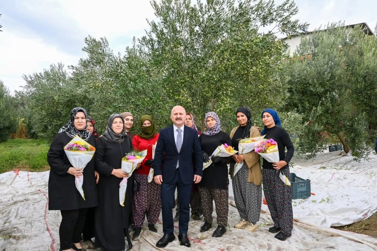 Aydin Valisi Varol Kadin Ciftcilerle Zeytin Topladi 1792073102435 891604