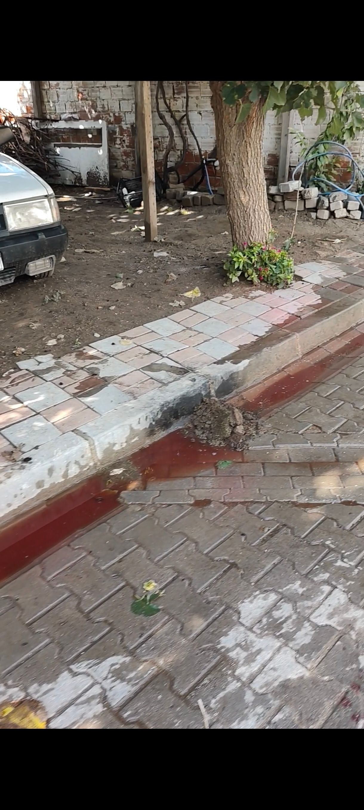 Aydinda Kaza Sonrasi Yarali Kan Izleriyle Bulundu 703357 C0Dd10