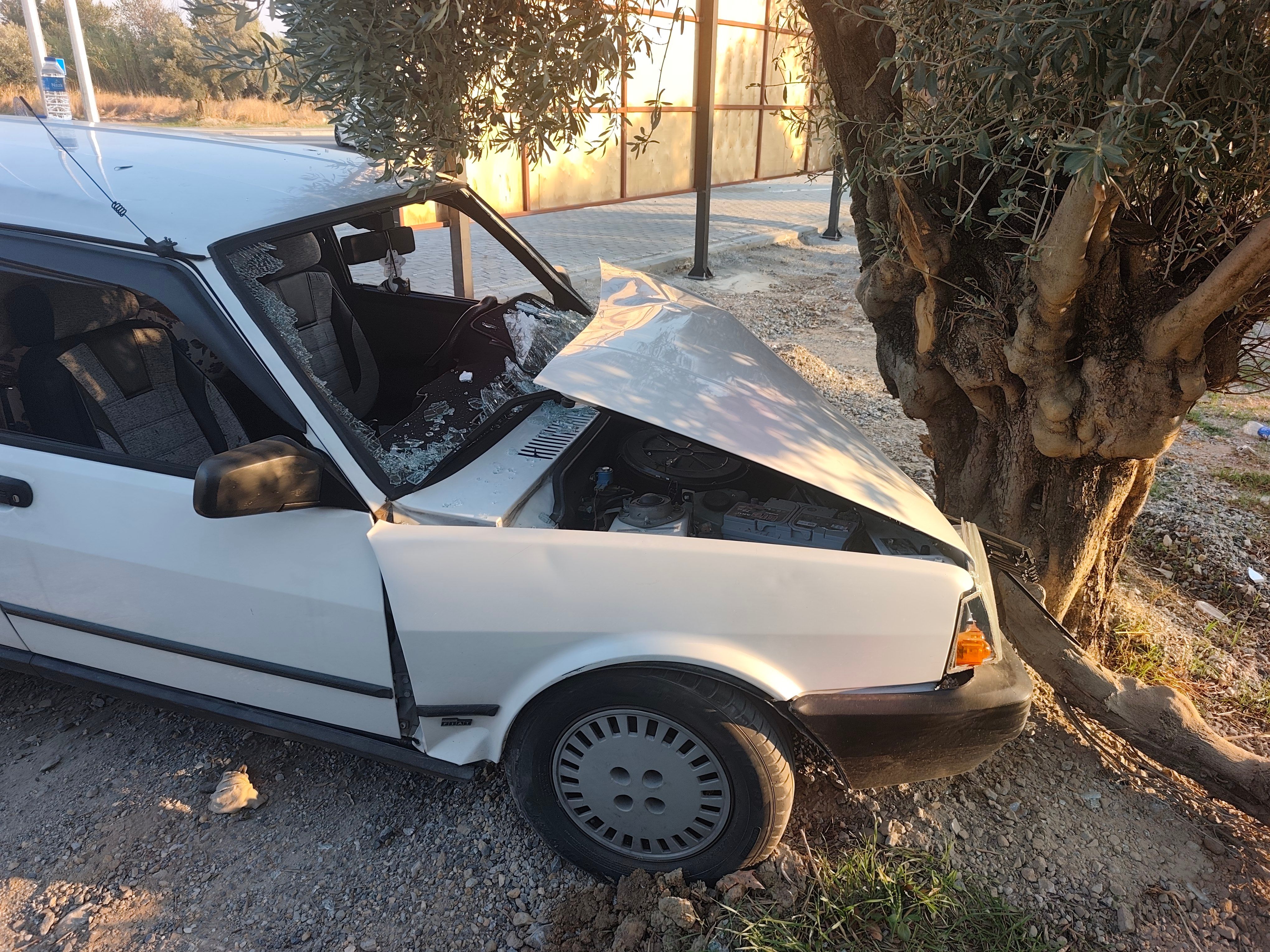Aydinda Otomobil Bahceye Uctu Kari Koca Olumden Dondu 701959 9A5F7E
