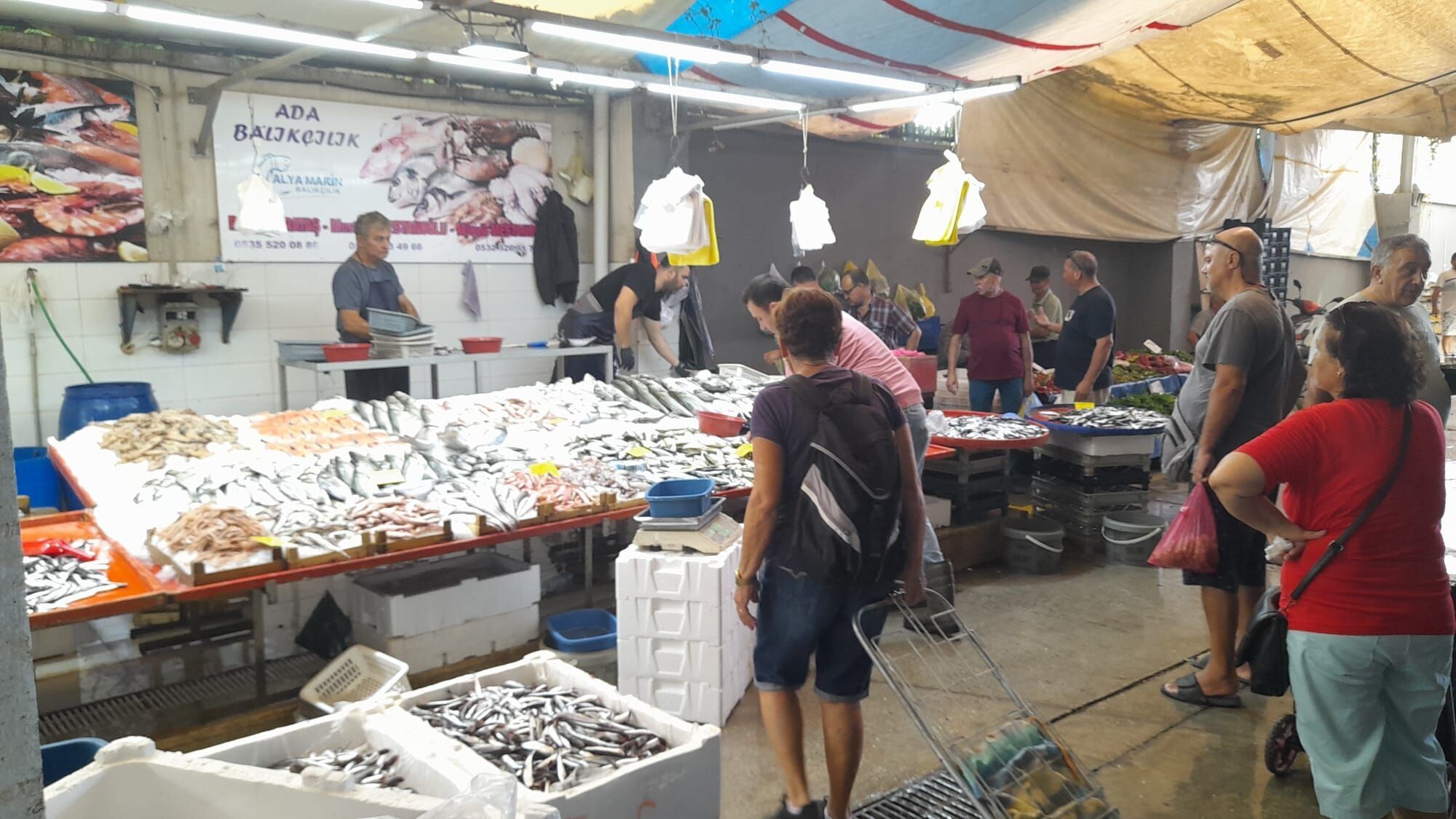 Balik Tezgahlarinda Palamut Bereketi Basladi 696756 1A3812