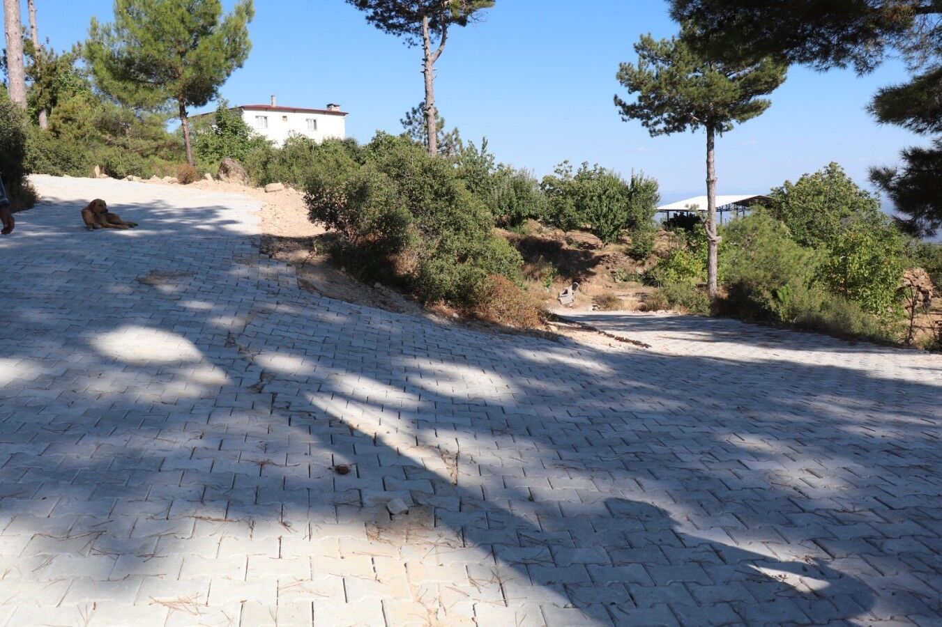 Bozdogan Madran Mahallesi Ndeki Yolda Calismalar Tamamlandi 1790841900577 423094
