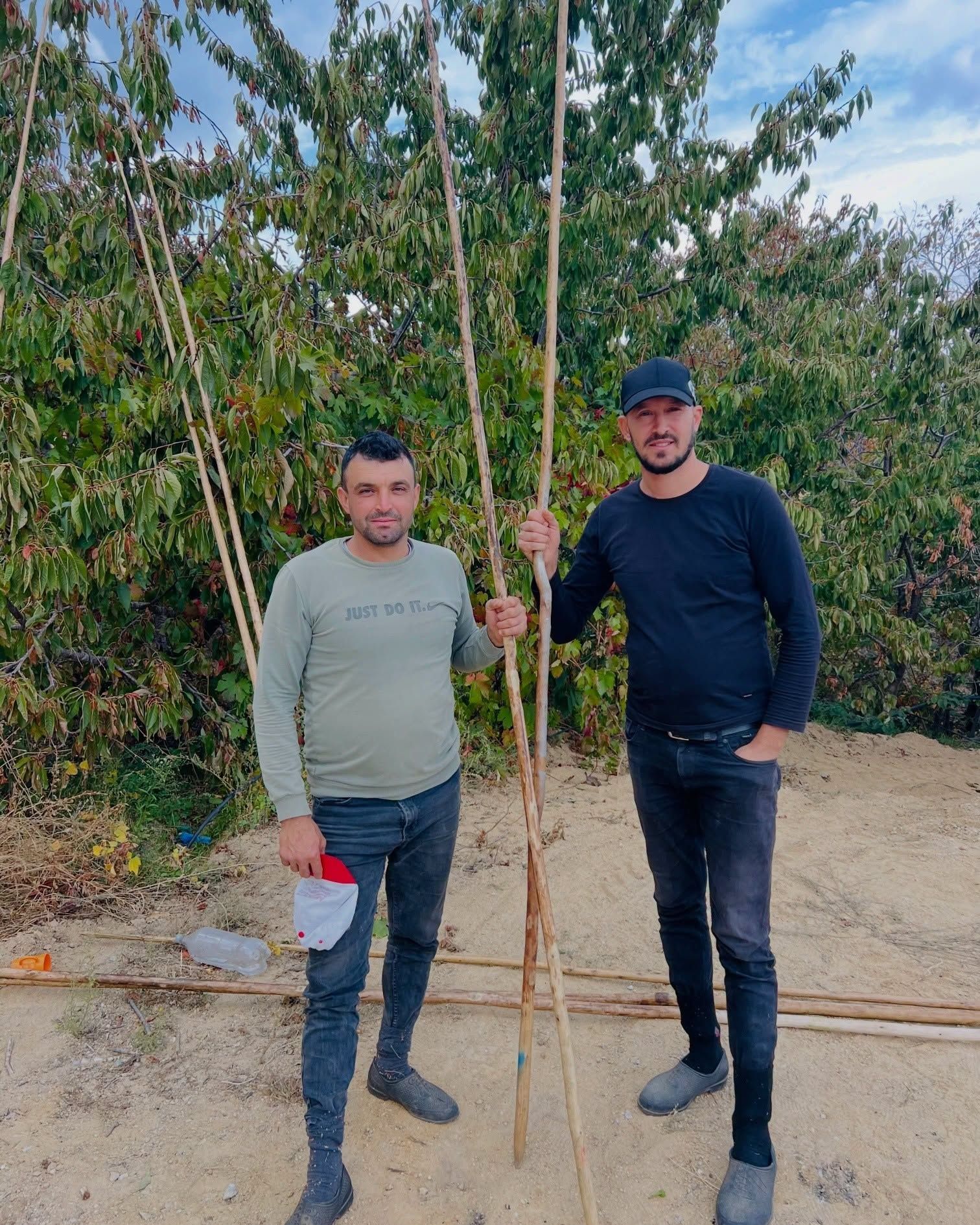 Daglardan Bu Sene Bereket Akiyor Nazillide Kestane Hasadi Ba 701450 B76F52