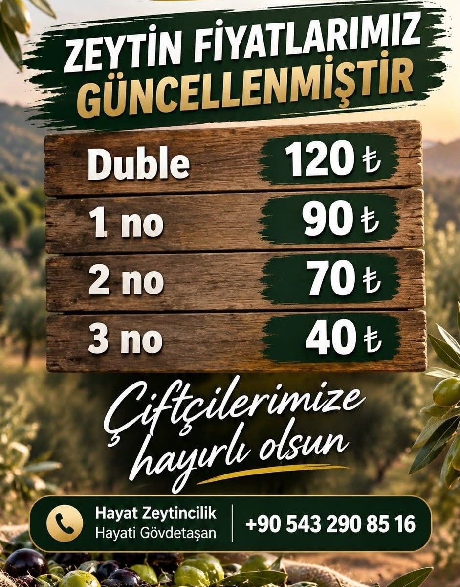 Didimde Dane Zeytin Fiyatlari Aciklandi 699371 D7E2Cf