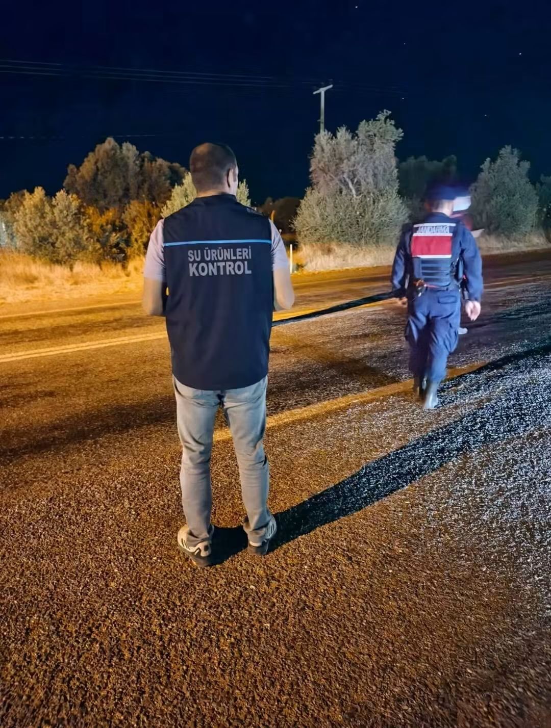 Didimde Su Urunleri Nakil Vasitalarina Siki Denetim 697885 C04D5F