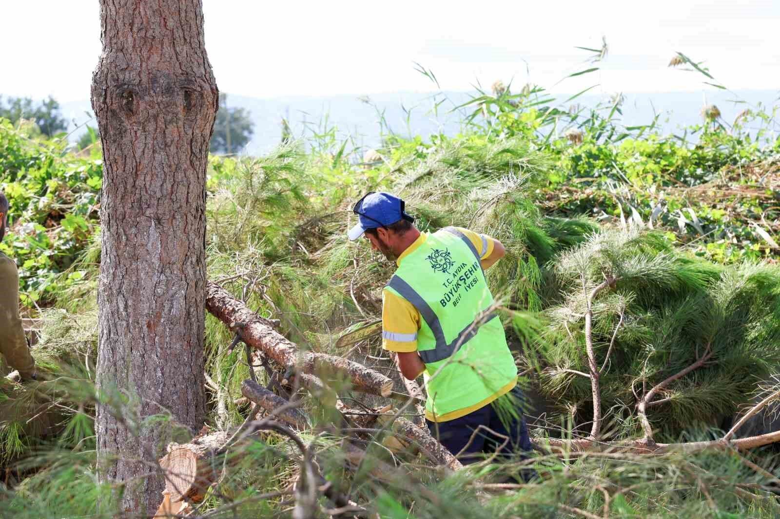 Hacialiobasi Nda Yesil Alanlar Yenilendi 1790856303473 317914