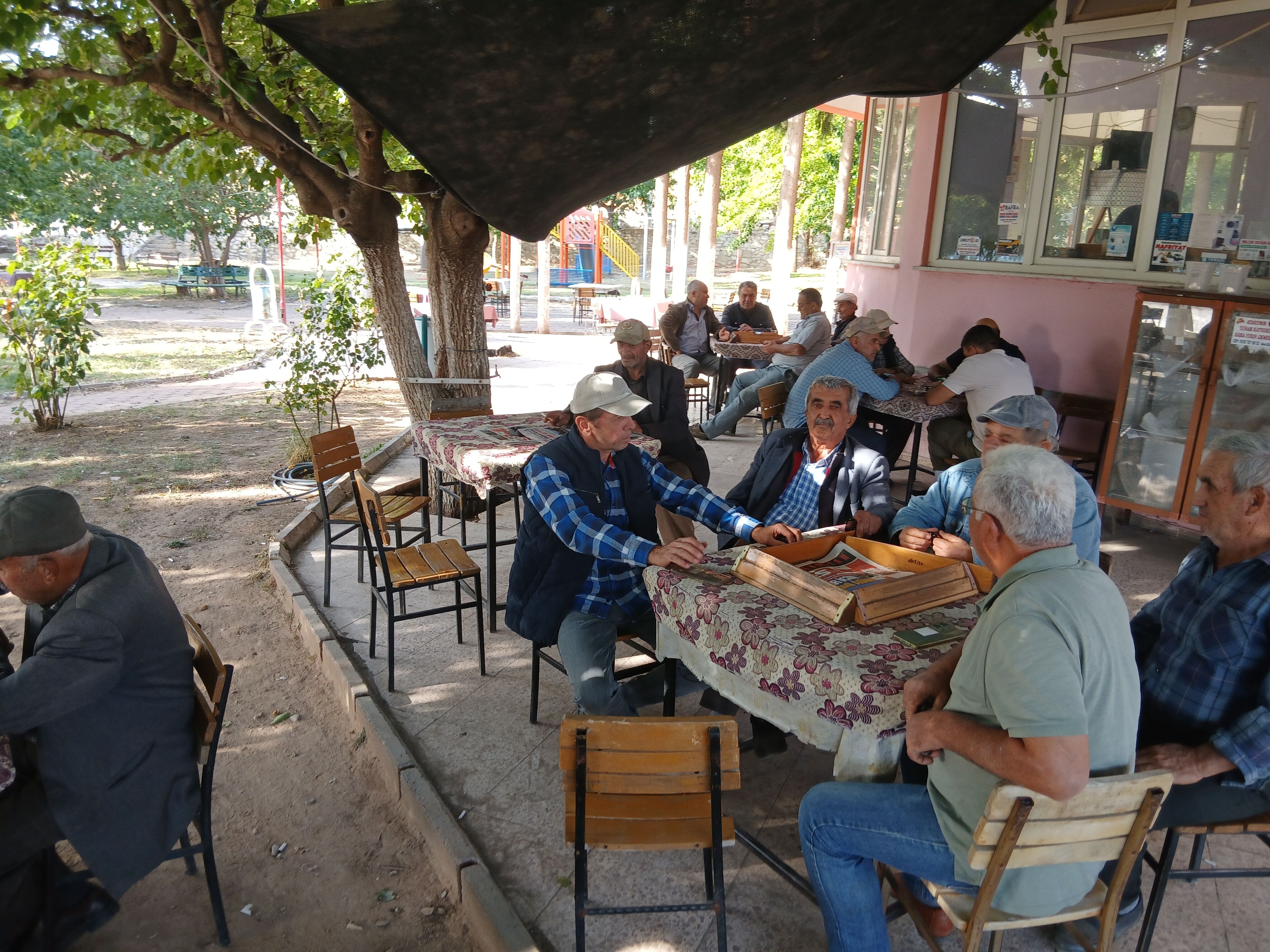 Karacasu Ataeymirde Zeytin Alimlari Durduruldu 698335 Bcb653