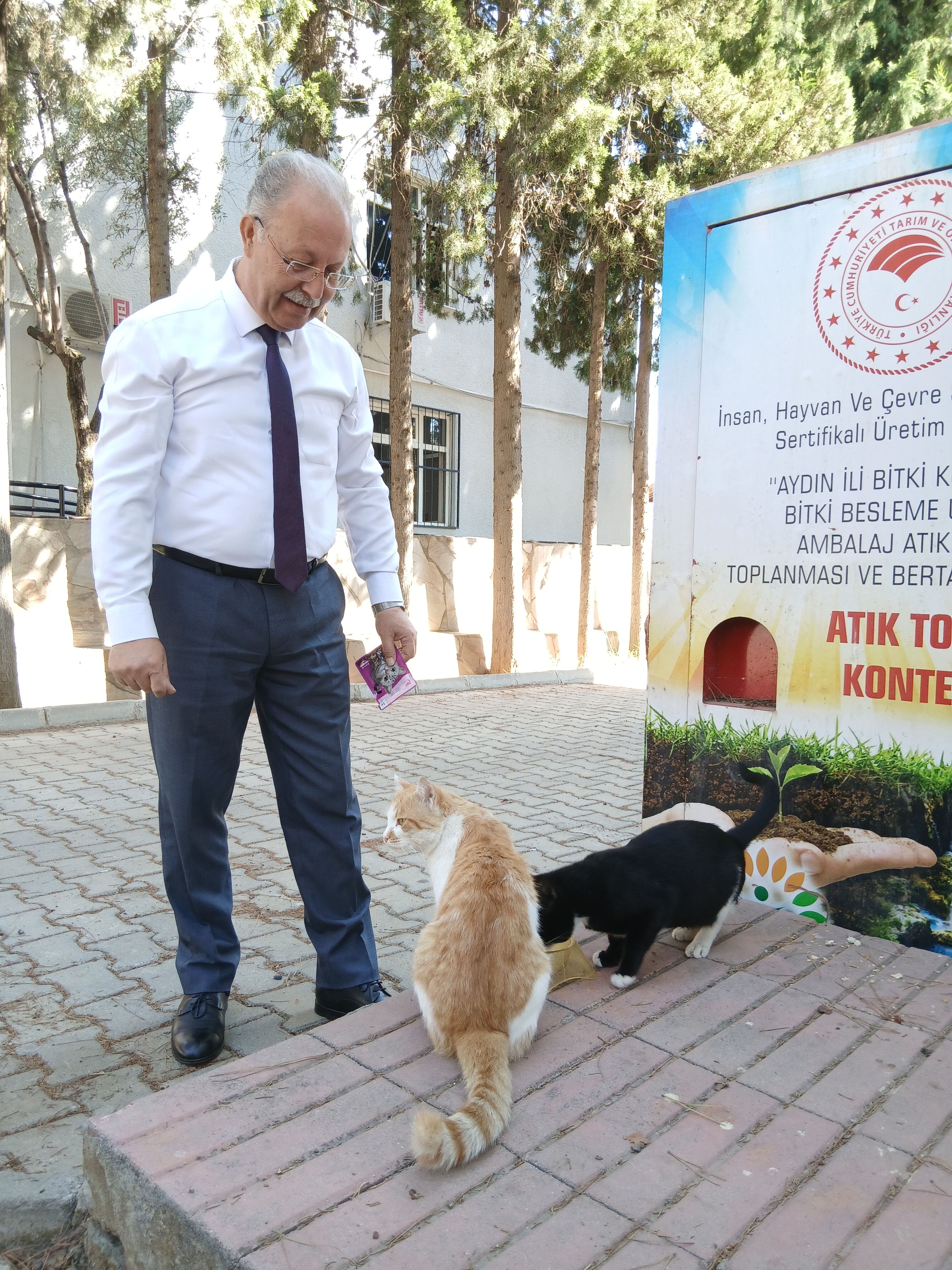 Karacasuda Sokak Canlarina Mudur Sefkati 700171 Bac9Ed