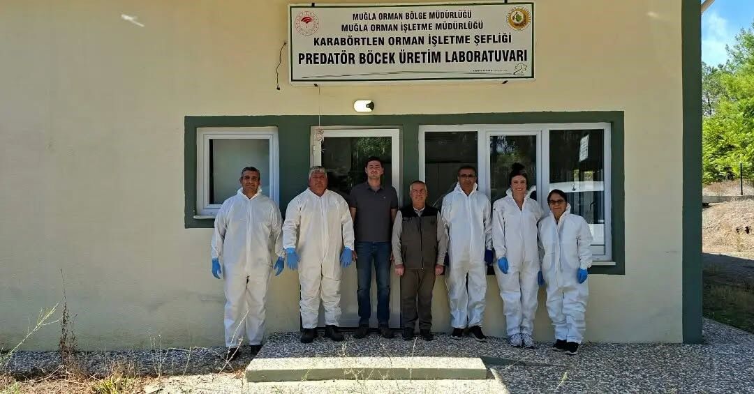 Kestane Gal Arisina Karsi Biyolojik Mucadele Guclendiriliyor 1791447901862 971845