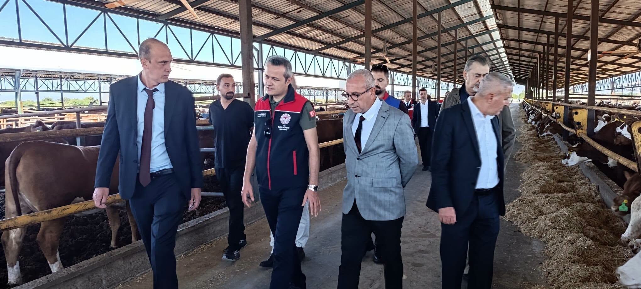 Kocarlida Dev Hayvancilik Yatirimi Acildi 697640 35C3E2