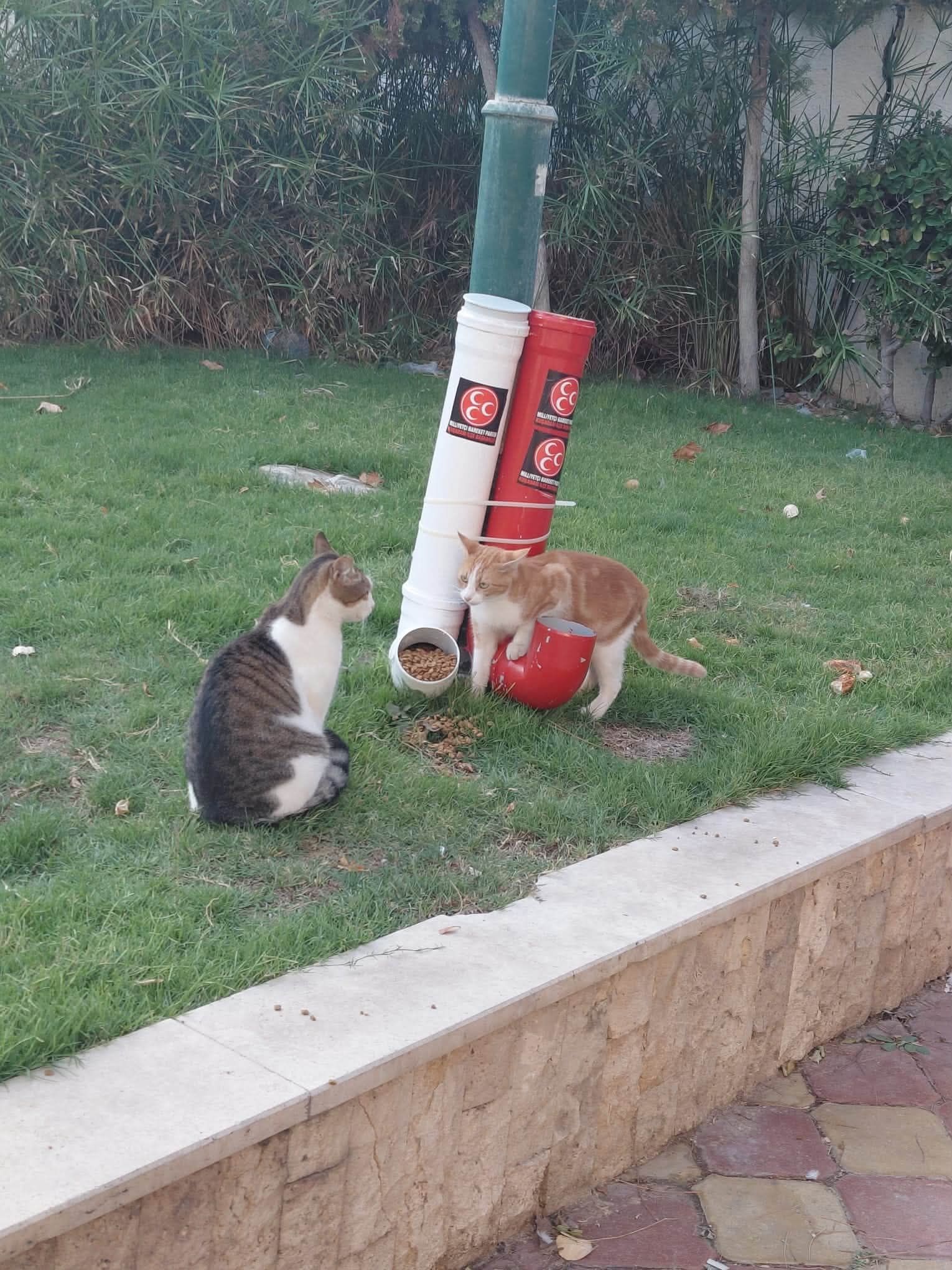Kusadasi Mhpden Can Dostlara Anlamli Dokunus 697347 811D0B