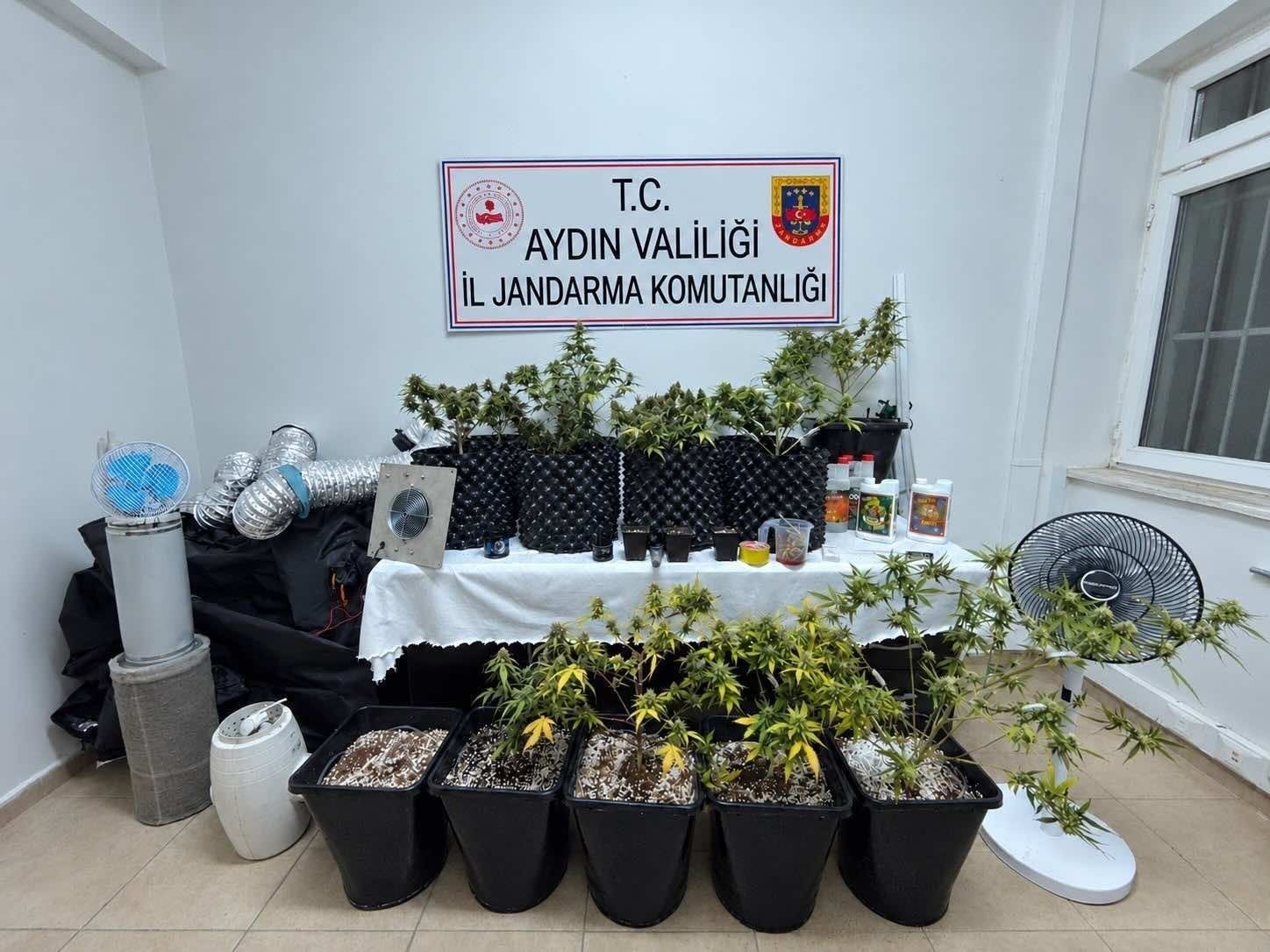 Kusadasinda Evini Skunk Serasina Cevirdi 700860 46C6D0