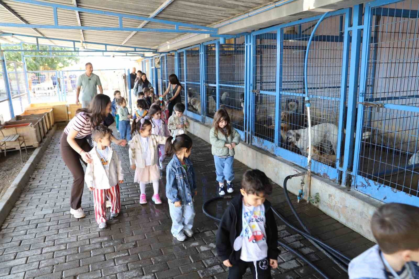 Nazilli De Minik Ogrenciler Can Dostlarla Bir Araya Geldi 1791201604601 237048