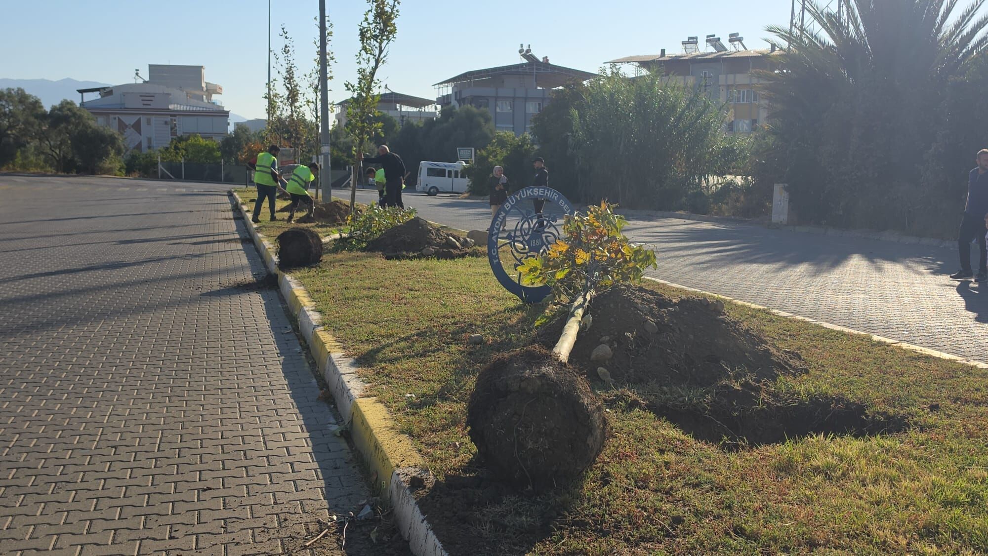 Nazillide 700 Agac Toprak Ile Bulusacak Buyuksehirden Yesil 697758 Ed9589