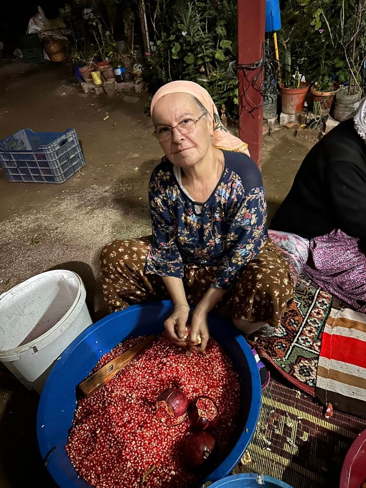 Nazillide Kis Hazirliklari Basladi Kazanlar Nar Eksisi Icin 698935 F25Da3
