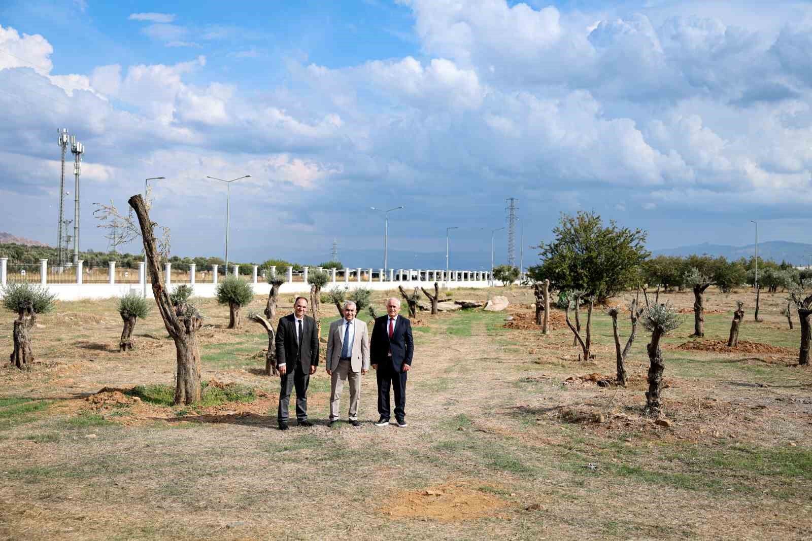 Nysa Antik Kenti Nden Tasinan Tarihi Zeytin Agaclari Adu De Yasatilacak 1791960602545 12789