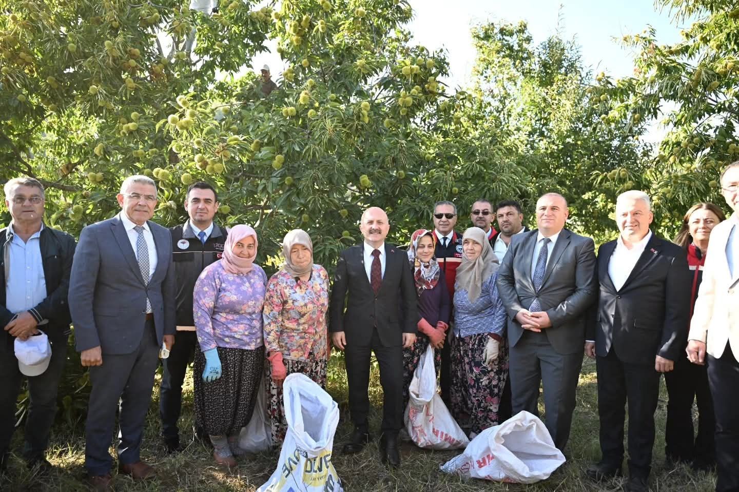 Vali Varol Kestane Hasadina Katildi 701833 D7Cd0D